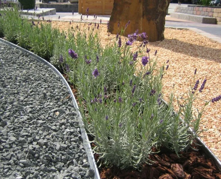 L-Aluminium Rasenkante 1,5mm – Bild 8